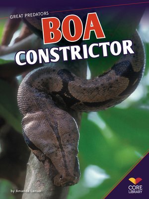 Boa Constrictor - ebook